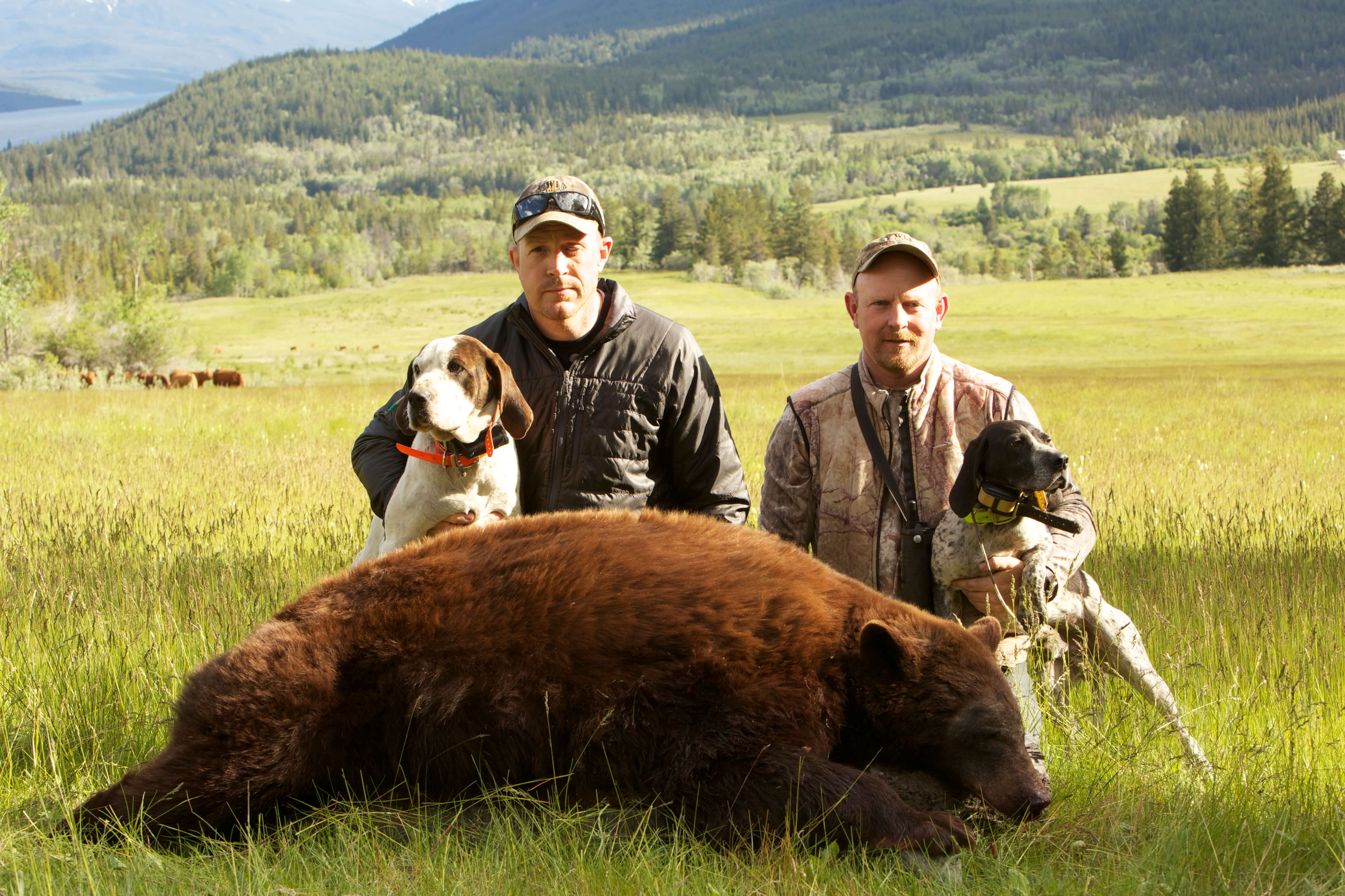 Two men with dogs and a black bear