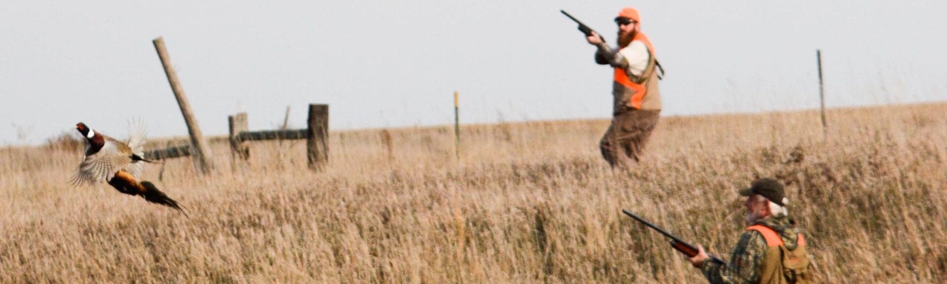 A group of hunters with guns in a grassy field