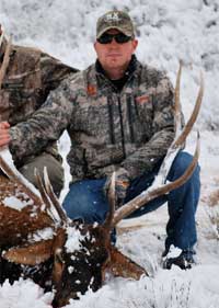 Two men posing with an elk in the snow.