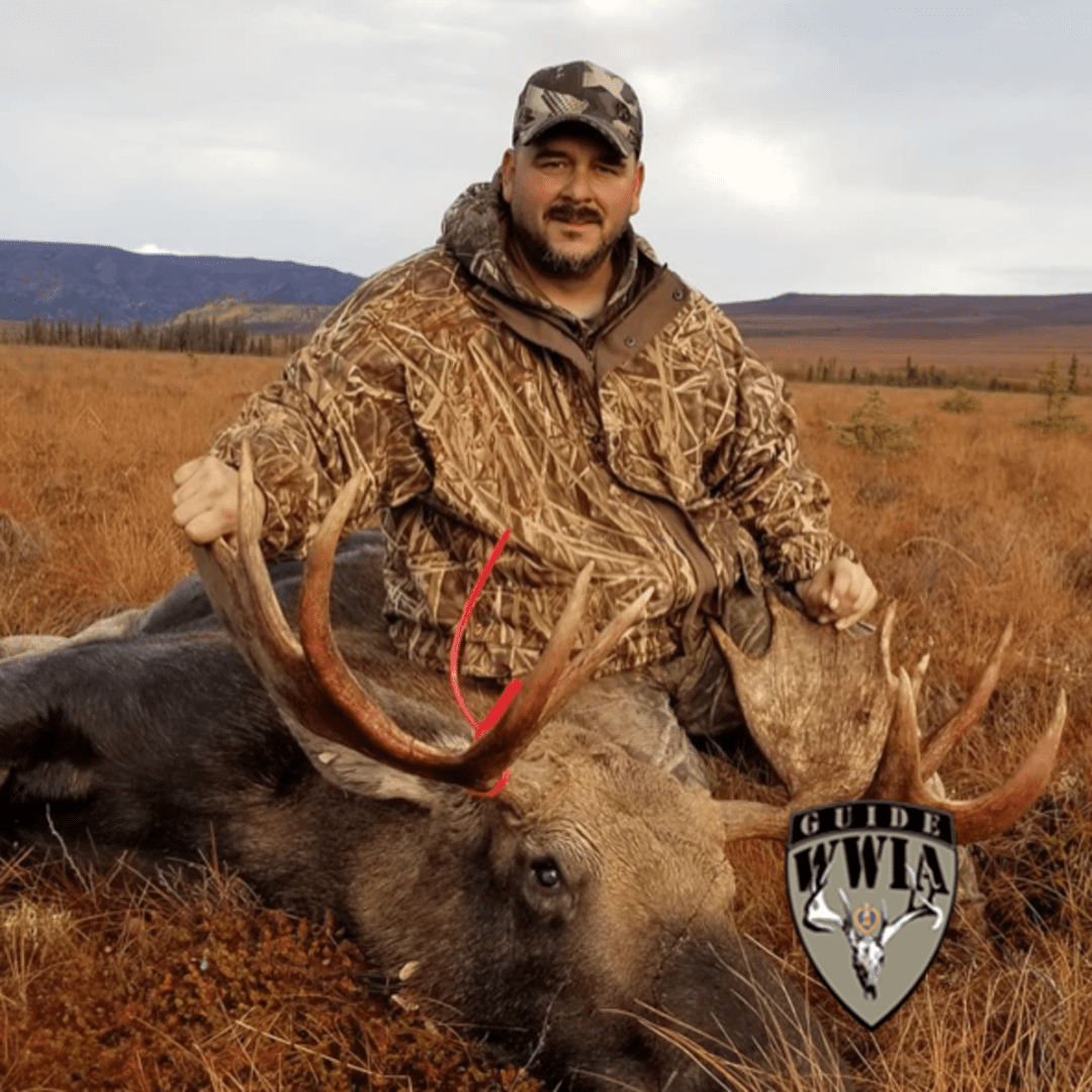 A man is posing next to a large moose.