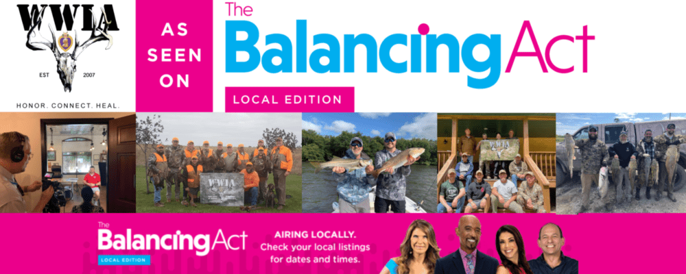 Pink and blue Balancing Act logo strip