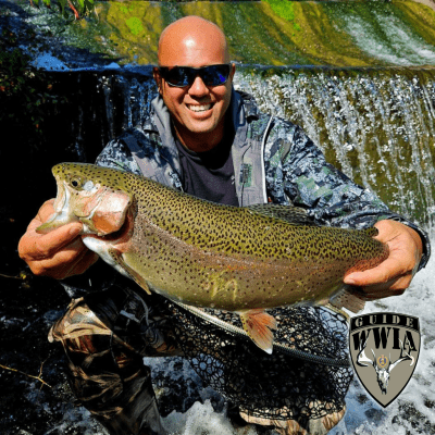 Kawika David Segundo