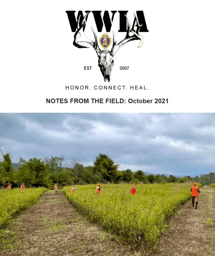 People walking in a field cloudy sky