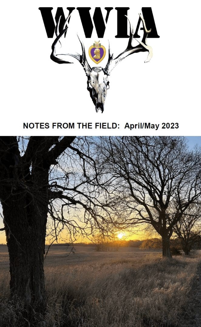 Sunset over field with bare trees